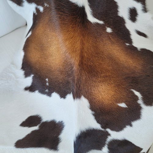 Mahogany And White Calf Hides , Natural Suede Leather | eCowhides | eCowhides