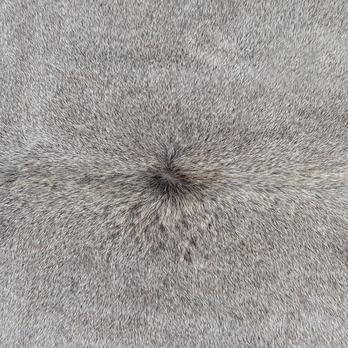 Grey Brazilian Cowhide Rug: Large , Natural Suede Leather | eCowhides