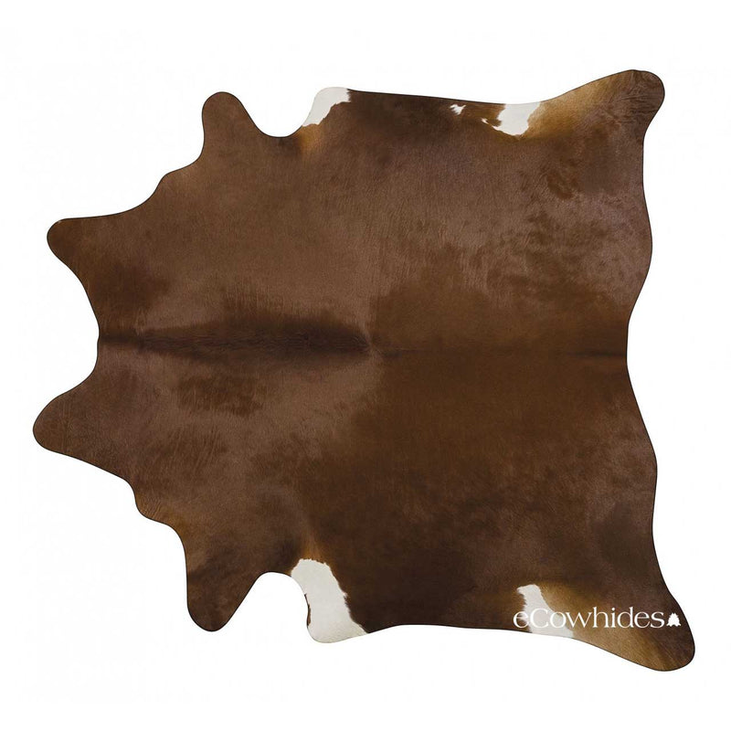 Dark Brown Brazilian Cowhide Rug: Large , Natural Suede Leather | eCowhides