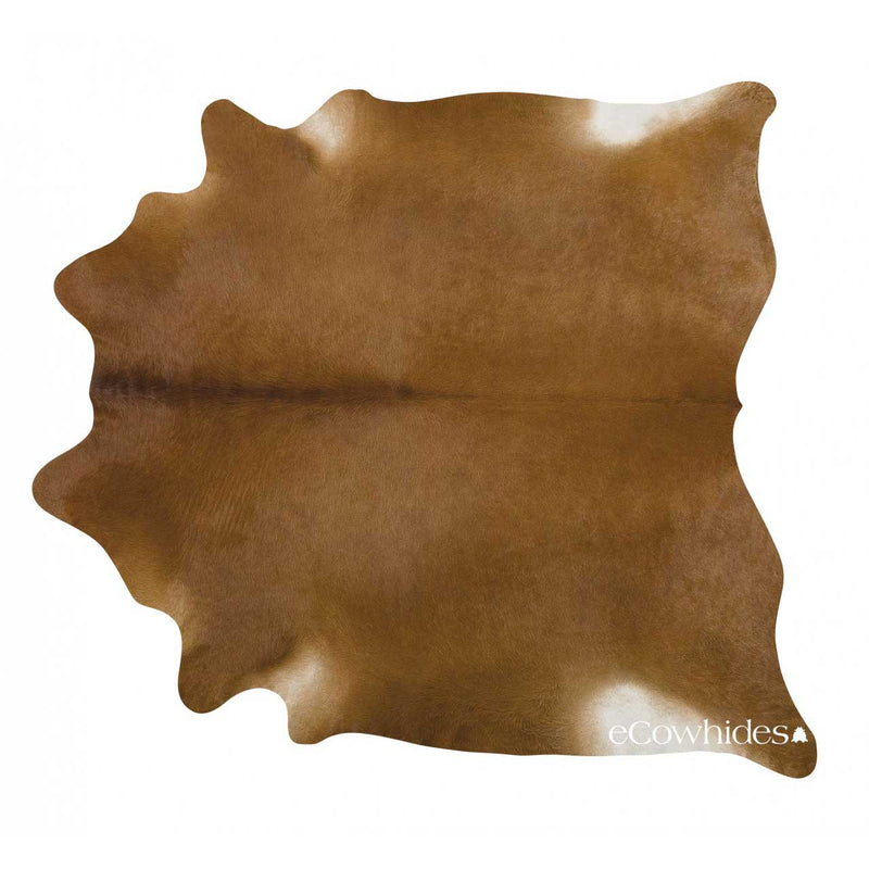 Dark Brown Brazilian Cowhide Rug: Xl , Natural Suede Leather | eCowhides